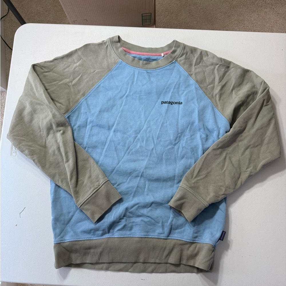 Patagonia Men's Light Blue and Olive Sweatshirt